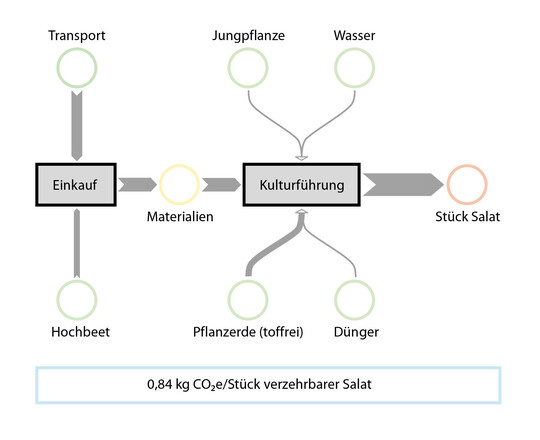 CO2e-Bilanz je Stück Salat aus dem Hochbeetanbau einer Teilnehmerin. Dargestellt sind die einzelnen Inputs (grüne Kreise) für die Prozesse „Einkauf“ und „Kulturführung“. Jeder produzierte Salat hat eine CO2e-Bilanz von 0,84 kg.