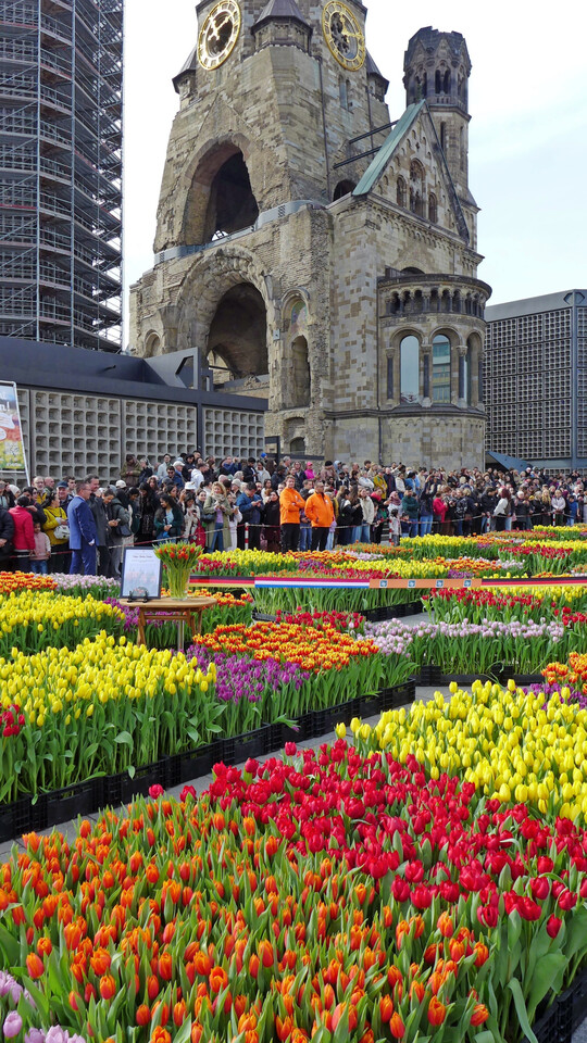 Die Besucher nahmen teils lange Wartezeiten auf sich, um den Tulpengarten zu erleben.