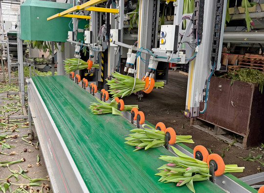 Bei Smit Flowers spielt Technik eine gro�e Rolle.