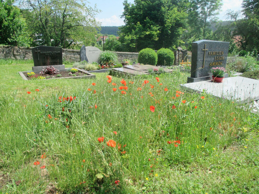 Wildblumen knnen dekorative Aspekte bilden, wie im Dietenhofener Friedhof