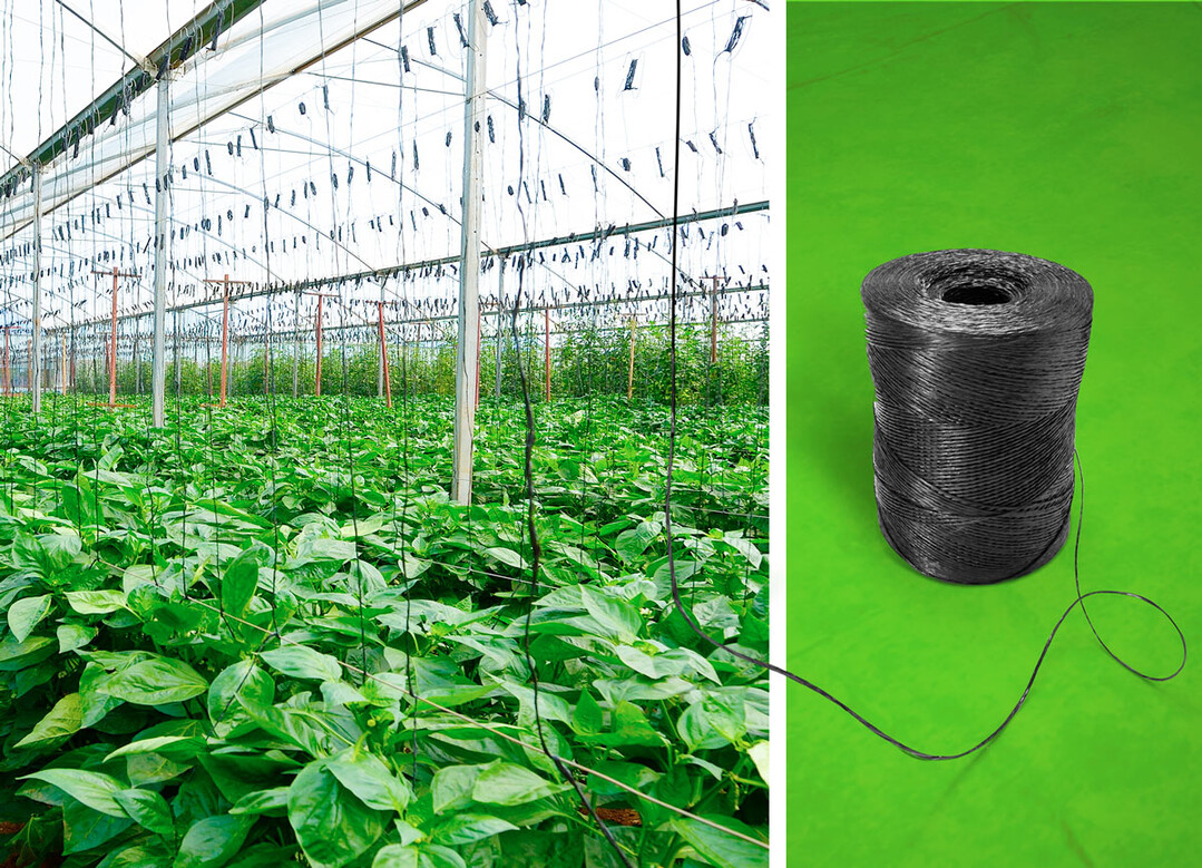 Jetzt aus zertifiziert kompostierbarem ecovio: schwarze Pflanzschnre, die im Anbau von einjhrigem Obst und Gemse als Rankhilfen eingesetzt werden.