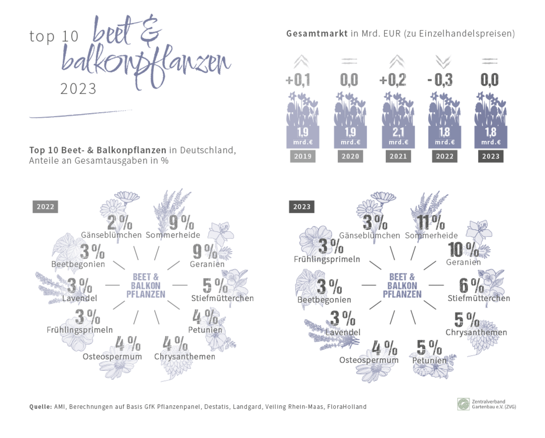 TOP 10  Beet- und Balkonpflanzen 2023