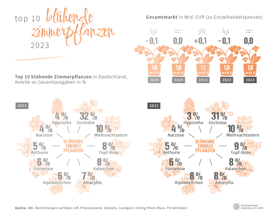 TOP 10  blhende Zimmerpflanzen 2023