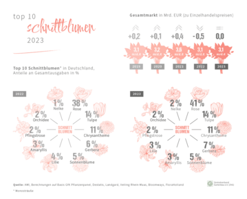 TOP 10  Schnittblumen 2023