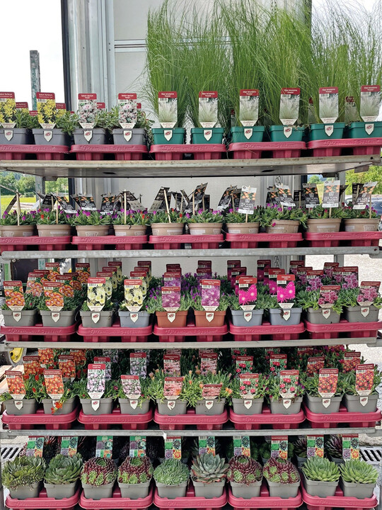 Leicht, stabil und flexibel einsetzbar: Die Mehrwegtrays von P�ppelmann TEKU vereinen geringes Gewicht mit hoher Stabilit�t und eignen sich perfekt f�r Anzucht und Transport der Pflanzen.