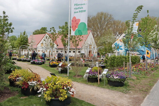 Der NRW-Gartenbau zeigt sich auf einem ausgedehnten Gartengel�nde mit zahlreichen Pflanzbeispielen f�rs Fr�hjahr.