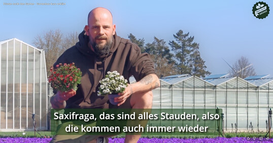 In f�nf kurzen Filmsequenzen, die auf einer aufmerksamkeitsstarken Stele gezeigt werden, nimmt Tristan, der beliebte �1000 gute Gr�nde�-G�rtner, die Zuschauer mit hinter die Kulissen des Gartenbaus.