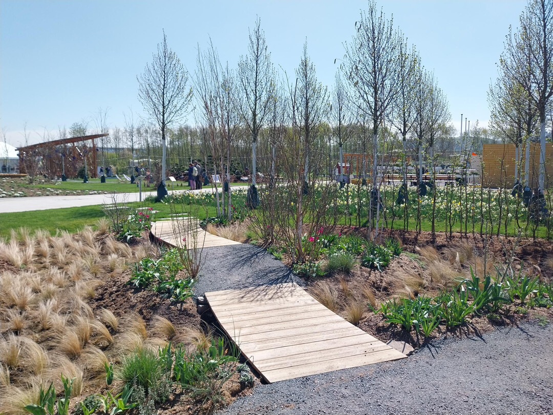 Garten der Fachhochschule Erfurt