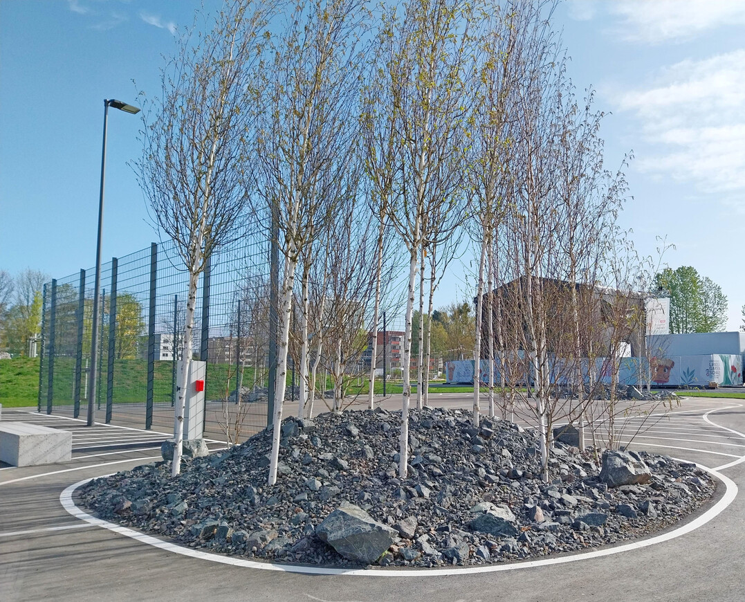 Drei solcher Inseln gibt es nahe der Skateanlage � aus g�rtnerischer Sicht ein R�tsel (um nicht zu sagen ein Skandal).