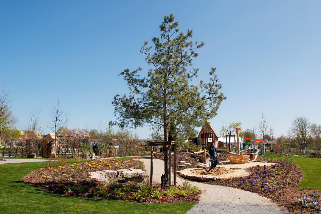 Schaugarten der Gartengestaltungs-GmbH Staudenhof (Eichsfelder Staudenhof) in Leinefelde-Worbis
