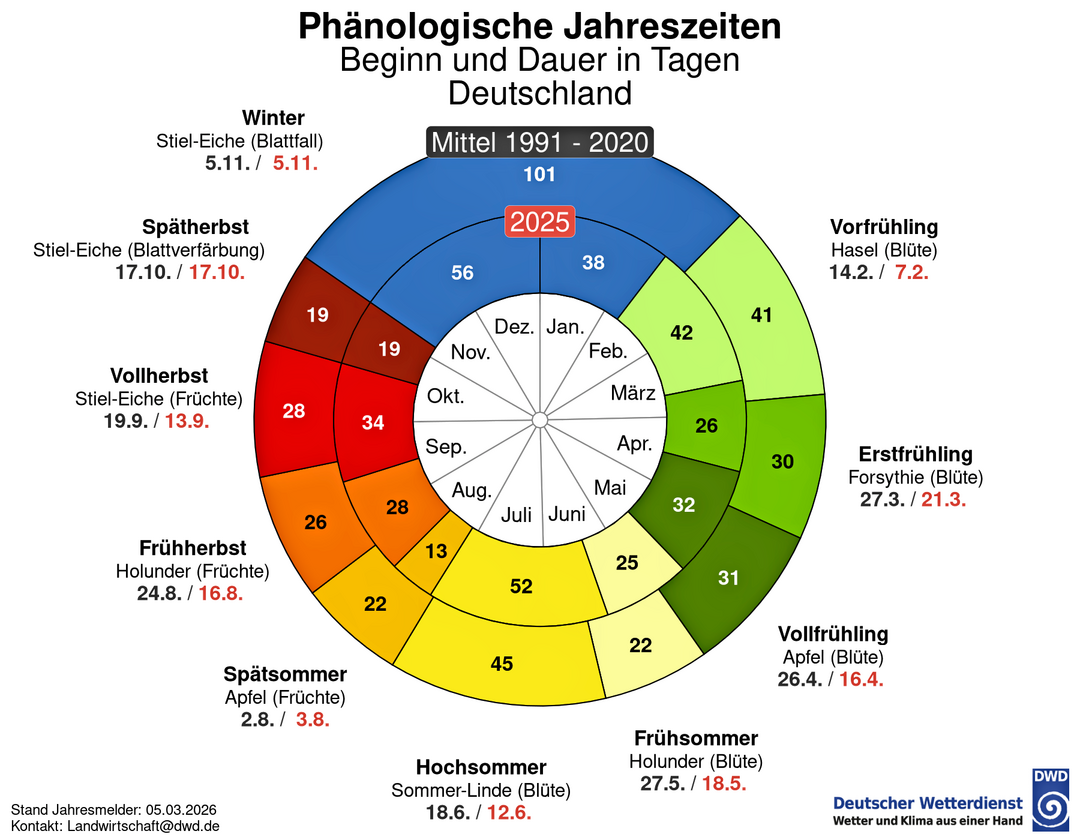 Die ph�nologische Uhr vergleicht das Jahr 2025 mit dem Zeitraum 1991 bis 2025.