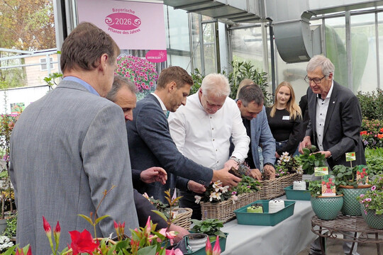 Geschickt legte Bundeslandwirtschafts-minister Alois Rainer als Taufpate selbst Hand an, um ein Gef�� mit dem �Feenstaub� zu bepflanzen. Unterst�tzt wurde er von Betriebsinhaber Roland �ller (links) und dem Pr�sidenten des BGV, Hermann Berchtenbreiter (ganz rechts).