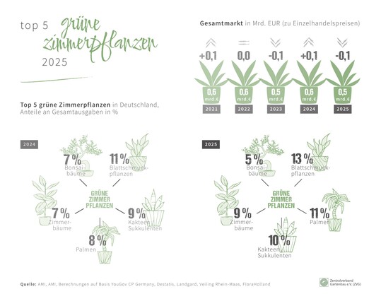 TOP 5 � gr�ne Zimmerpflanzen 2025