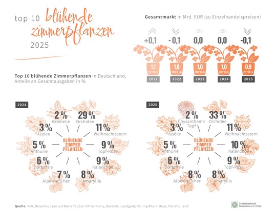 TOP 10 � bl�hende Zimmerpflanzen 2025