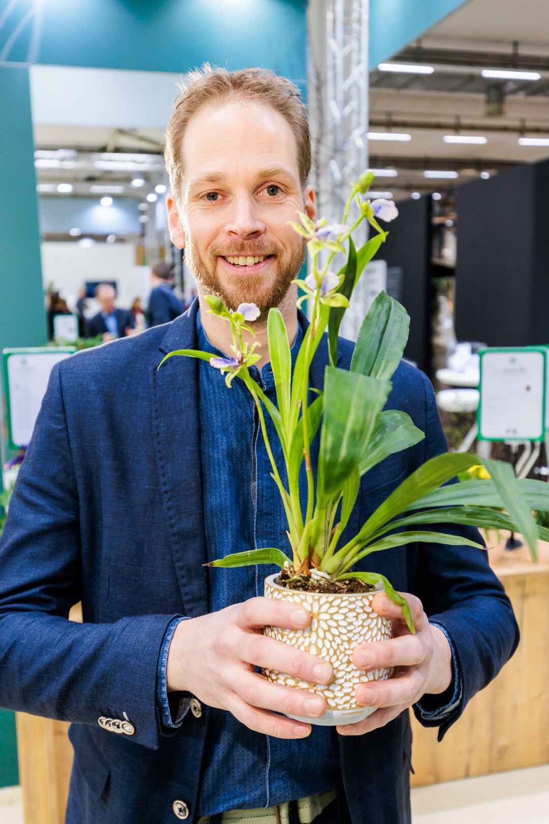 Zygopetalum Oxygen Optimistic (AK8), Alpha Orchids Breeding