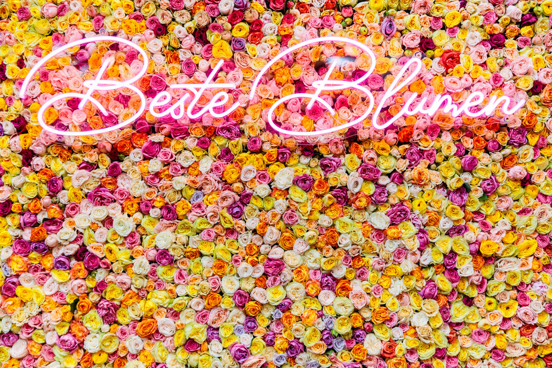 Nach einem tristen Winter zeigt sich auch 2024 wieder, dass die Menschen Lust auf Frühling und Farben bekommen. Trendforscher rieten, mit kraftvollen Farben wie Rot, Magenta und Orange bei Blumen und Pflanzen – im Hinblick auf die verunsicherte Weltlage – dringend notwendige positive Impulse zu setzen.
