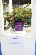 <b>Gold in der Kategorie Konzept:</b>
First Editions von Willy De Nolf,
<a href="https://www.denolf.com" target="_blank" >www.denolf.com</a>
,
<a href="https://firsteditionsplants.com/" target="_blank" >firsteditionsplants.com</a>
. Mehr als 75 Staudensorten mit Mehrwert für den Garten werden unter dieser Marke vertrieben. Die Jury ist der Meinung, dass sich das Konzept in die Denke des Kunden und Einzelhändlers hineinversetzt. Die Sorten werden stets zu Glanzzeiten angeboten, wodurch das Angebot im Laden automatisch erneuert wird. Zudem ist das PR-Material für den Point of Sale ansprechend gestaltet.