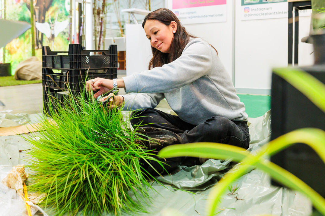 Impressions of the construction on the day before IPM ESSEN 2025