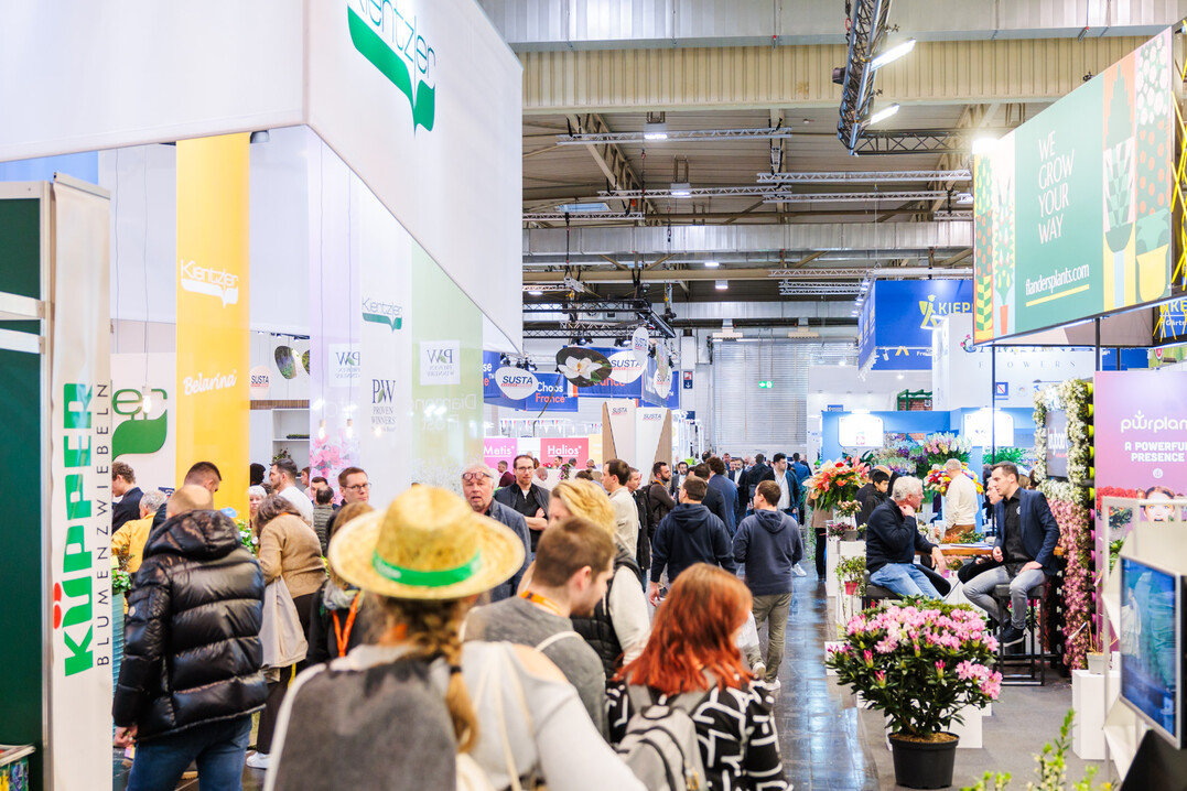 Impressionen vom Messe-Donnerstag der IPM ESSEN 2025.