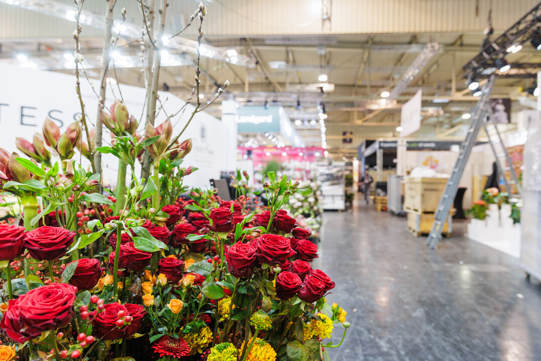 Schnittblumen in �ppigen Arrangements begeistern ab heute das Fachpublikum.