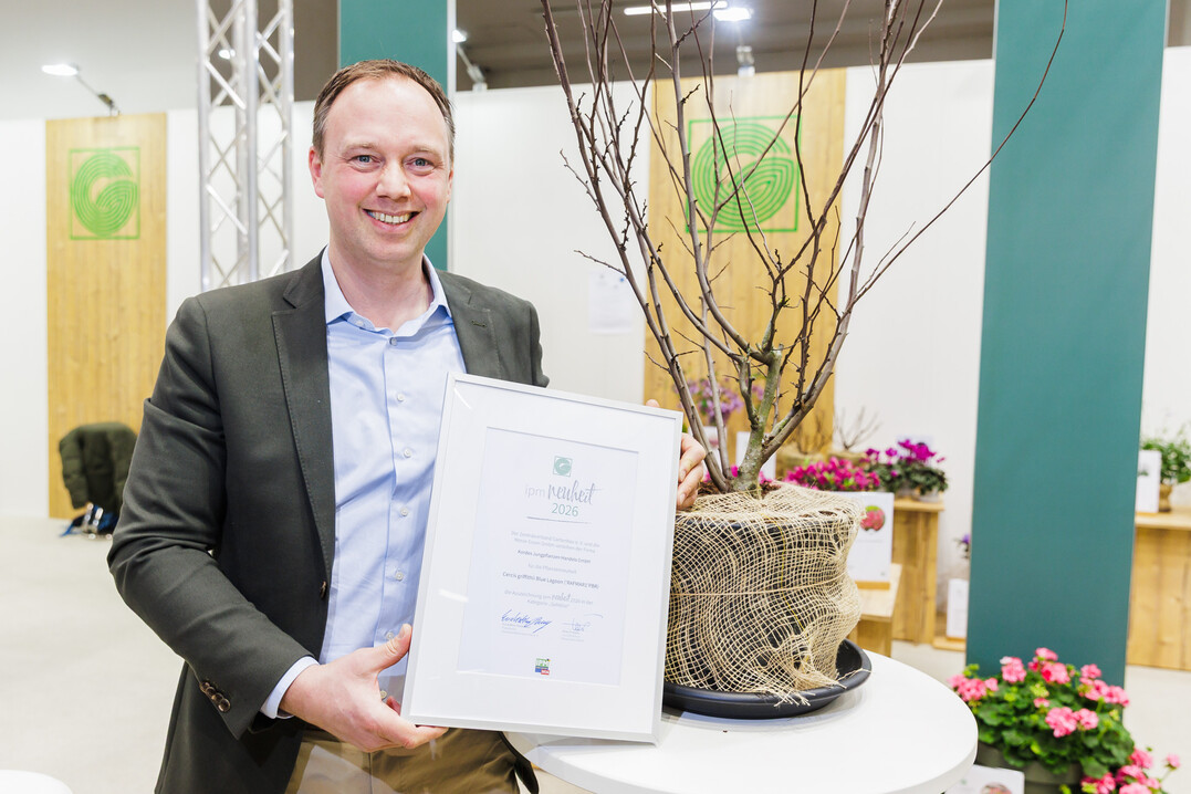 Christian Kordes (Kordes Jungpflanzen Handels GmbH) presents the Cercis griffithii Blue Lagoon.