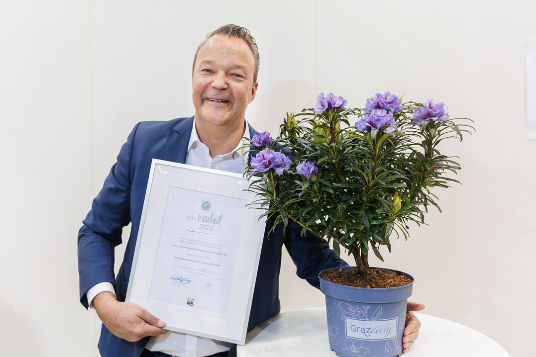 Sebastian Heinje (Diderk Heinje Pflanzenhandels GmbH) with the Rhododendron ‘Grazeasy Purple’.