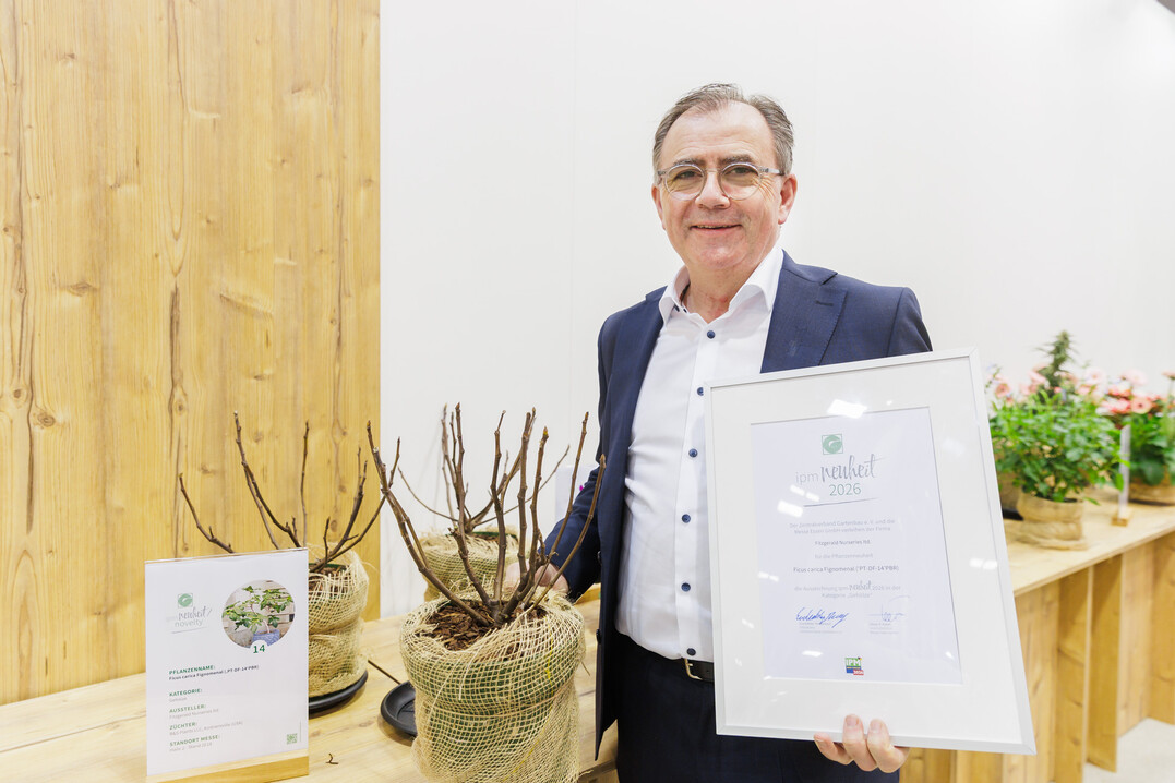 Pat Fitzgerald (Fitzgerald Nurseries Ltd.) with the compact Ficus carica Fignomenal.