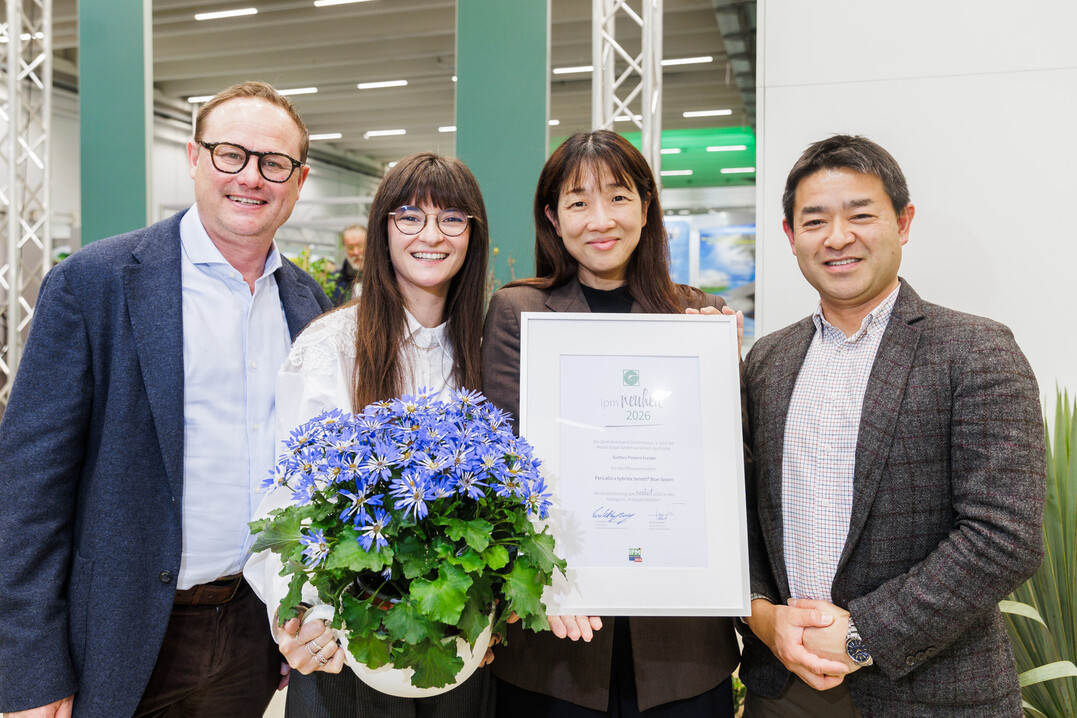 Ed Mol, Yumi Murata, Hiroshi ABE und Francesca Lanzillotta (Suntory Flowers Europe) zeigen die Senetti® Blue Spoon.