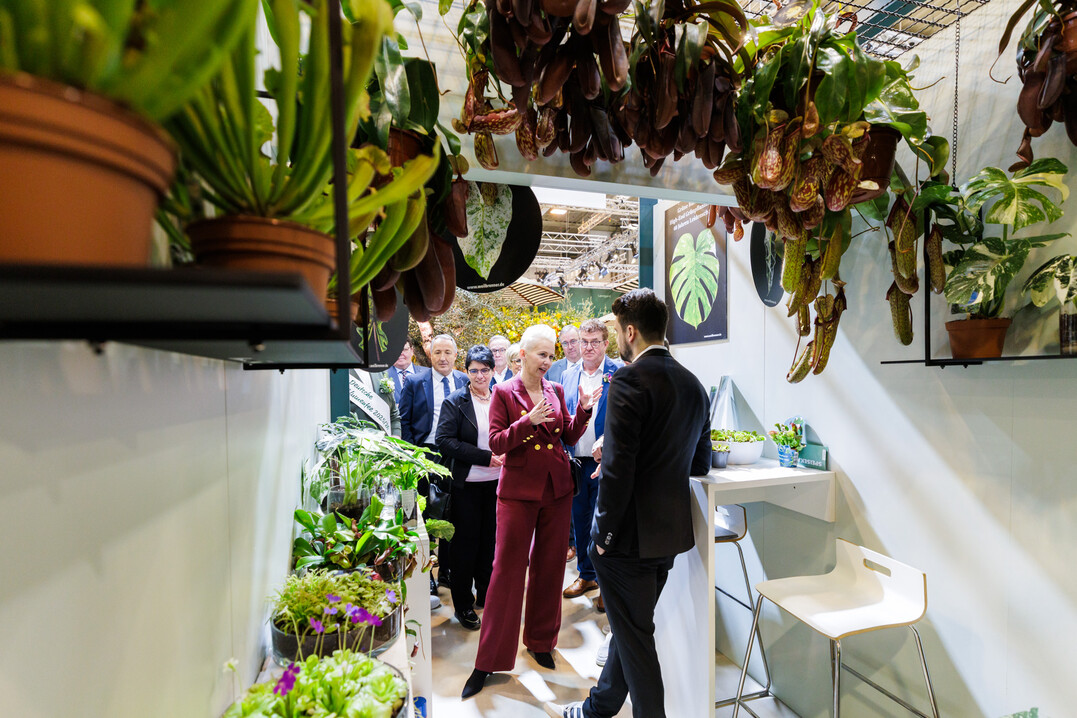 Die parlamentarische Staatssekretärin Silvia Breher informierte sich während ihres Messerundgangs auch über Pflanzenraritäten.