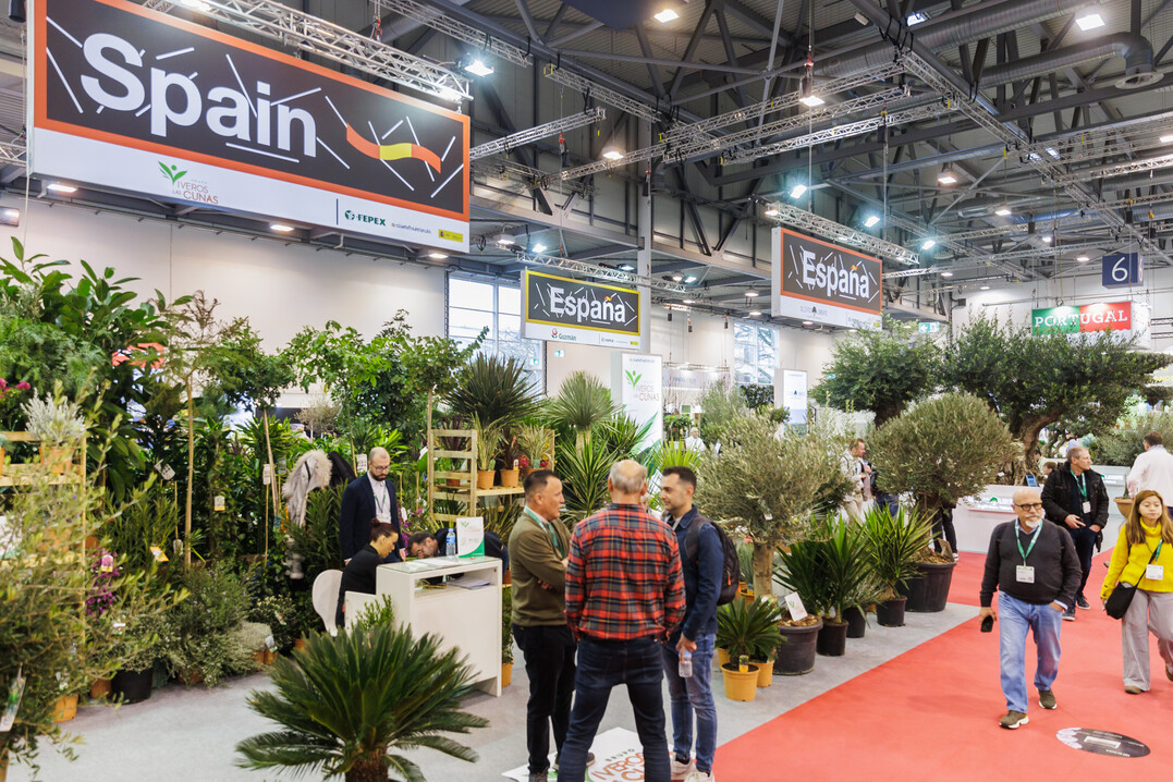 A hub for export quality: The FEPEX pavilion showcases the diverse flora of Spain’s major growing regions.