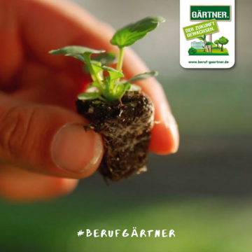 Mit einem neuen Recruiting-Film zeigt der Zentralverband Gartenbau e. V. (ZVG) die Produktvielfalt des Gartenbaus und wirbt fr eine Ausbildung in der grnen Branche. 

 