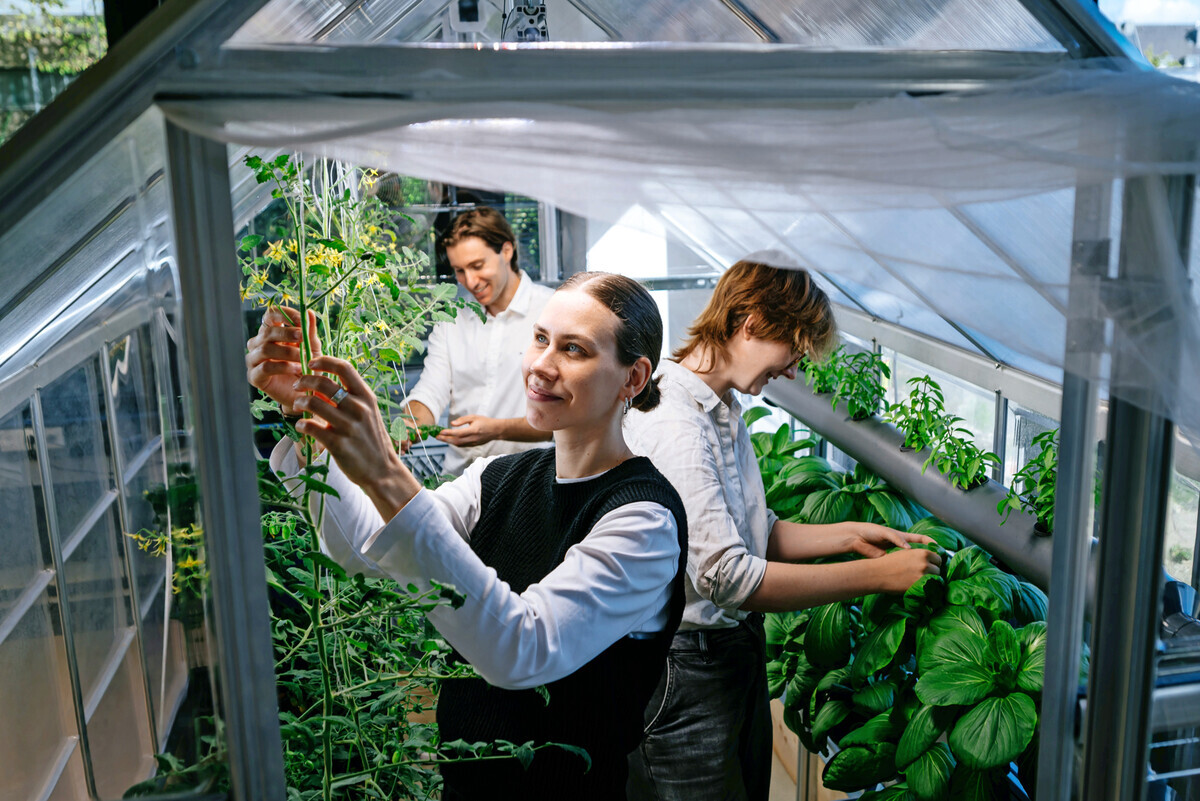 TH Köln entwickelt Indoor-Farming-System für fruchttragende Kulturen - DEGA GARTENBAU
