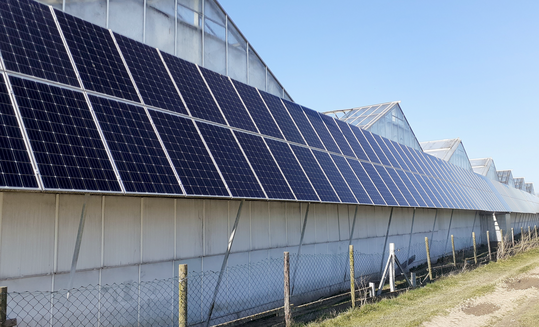 Photovoltaik-Module knnen auch an einer Gewchshaus-Seitenwand sinnvoll sein.