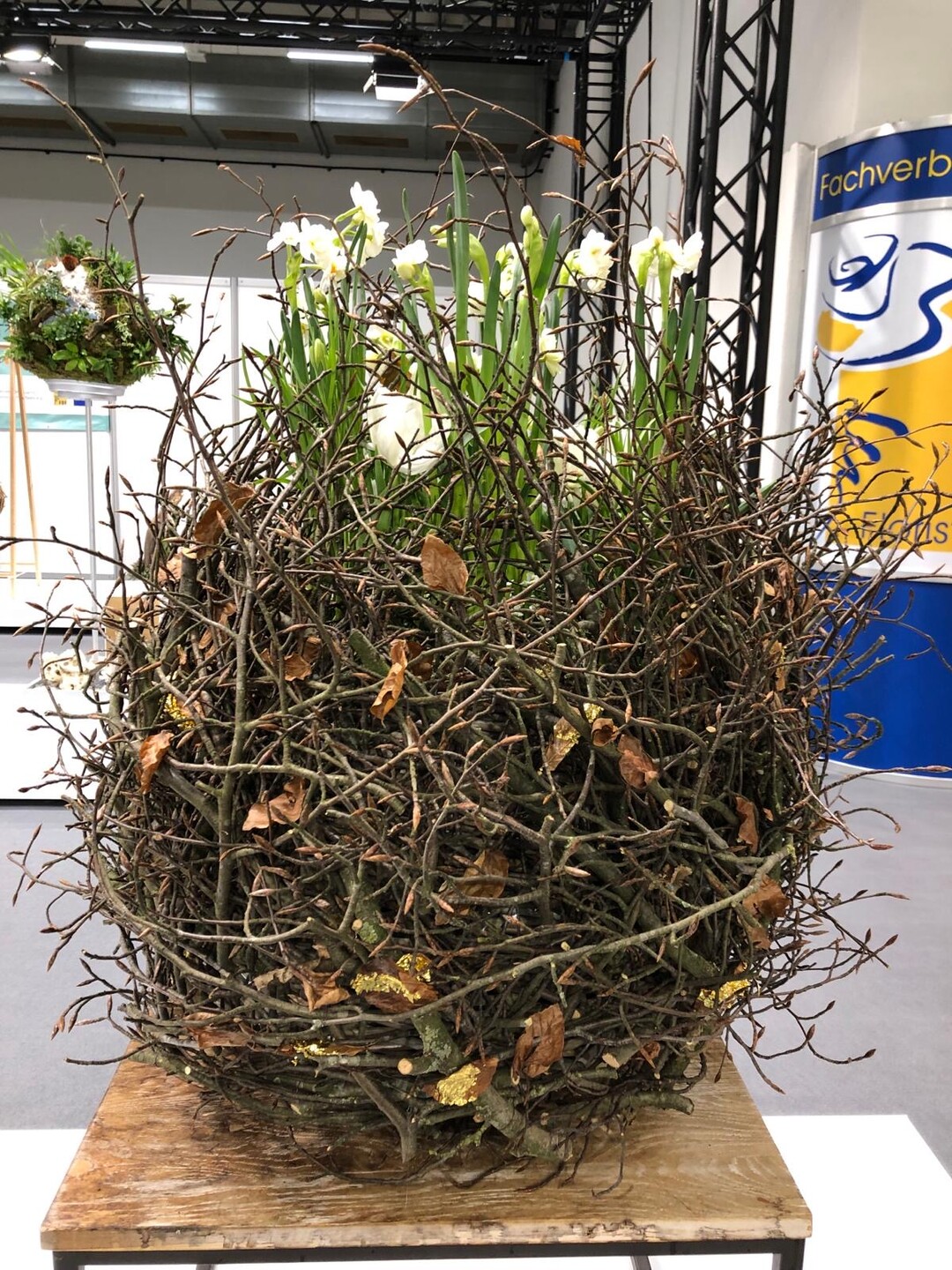 2. Platz Gefbepflanzung / 2nd place potted planting: Jana Rottbeck.