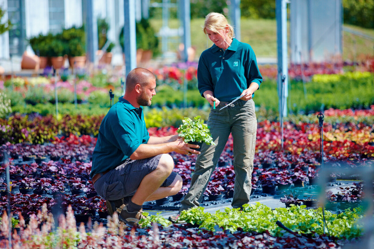 Das Jahresprogramm 2025 der Bildungsstätte Gartenbau ist online DEGA