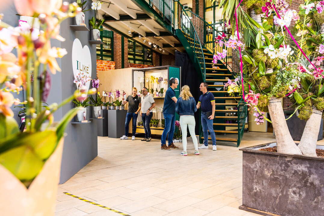 Exporteure, Grohndler, Klein- und Einzelhndler sind herzlich eingeladen 13 Orchideenzchter zu besuchen. Um Anmeldung wird gebeten. 