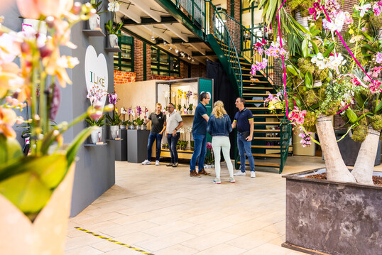 Exporteure, Grohndler, Klein- und Einzelhndler sind herzlich eingeladen 13 Orchideenzchter zu besuchen. Um Anmeldung wird gebeten. 