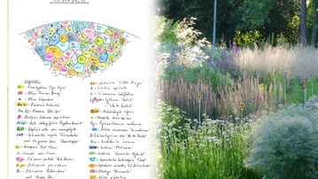 Plan der Staudenwiese (Ausschnitt) von Harald Sauer und ein Staudenbeet von ihm im Luisenpark Mannheim.