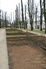 Ende März beginnen die Friedhofsgärtner mit der Bepflanzung