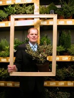 „Die Baumschule Helmers präsentiert dieses Jahr auf der IPM eine neue amerikanische Ilex-Selektion und zwar den Ilex meservae ‚Casanova‘. Das ist eine männliche Form mit einem bunt-panaschierten Blatt, das an Osmanthus erinnert. Besonders an dieser Form ist, dass sie absolut frosthart ist und ein sehr dekoratives Blatt für Schnitt hat, gerade auch für die Zeit von Herbst bis Weihnachten. Aber auch die ganze Pflanze ist schön.“