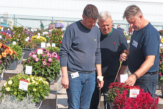 Gemeinsam durch die Sortimente gehen und diese diskutieren  dafr gibt es keine bessere Plattform als die FlowerTrials!
