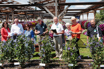 Die Fleuroselect-Jury im Fleuroselect-Probefeld der Renner Gartenbau-Agentur. Von links: Ann Jennen (Fleuroselect-Geschftsfhrerin), Marc Driessen (Fleuroselect-Prsident), Sally van der Horst (Fleuroselect), XXXXXX, G Bentvelsen (ABZ Seeds), Herbert mit Dr. Silvia Wehrle (Graines Voltz) und Marcel Burri (Wyss Samen und Pflanzen).