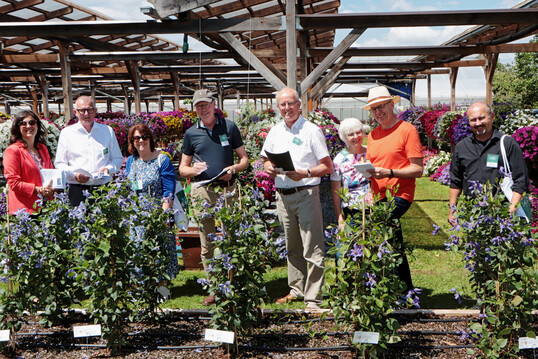 Die Fleuroselect-Jury im Fleuroselect-Probefeld der Renner Gartenbau-Agentur. Von links: Ann Jennen (Fleuroselect-Geschftsfhrerin), Marc Driessen (Fleuroselect-Prsident), Sally van der Horst (Fleuroselect), XXXXXX, G Bentvelsen (ABZ Seeds), Herbert mit Dr. Silvia Wehrle (Graines Voltz) und Marcel Burri (Wyss Samen und Pflanzen).