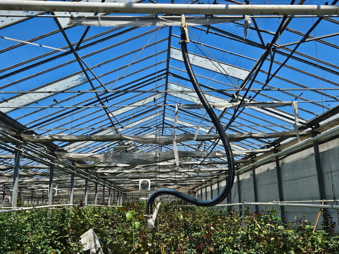 Ein zerstrtes Gewchshaus mit einem Glastotalschaden nach dem Hagel-Unwetter.
