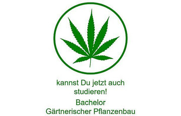 Ab dem kommenden Wintersemester bietet die FH Erfurt im Bachelor-Studiengang Grtnerischer Pflanzenbau eine Vielzahl von Modulen an, in denen sich die Studierenden explizit mit Hanf beschftigen knnen.