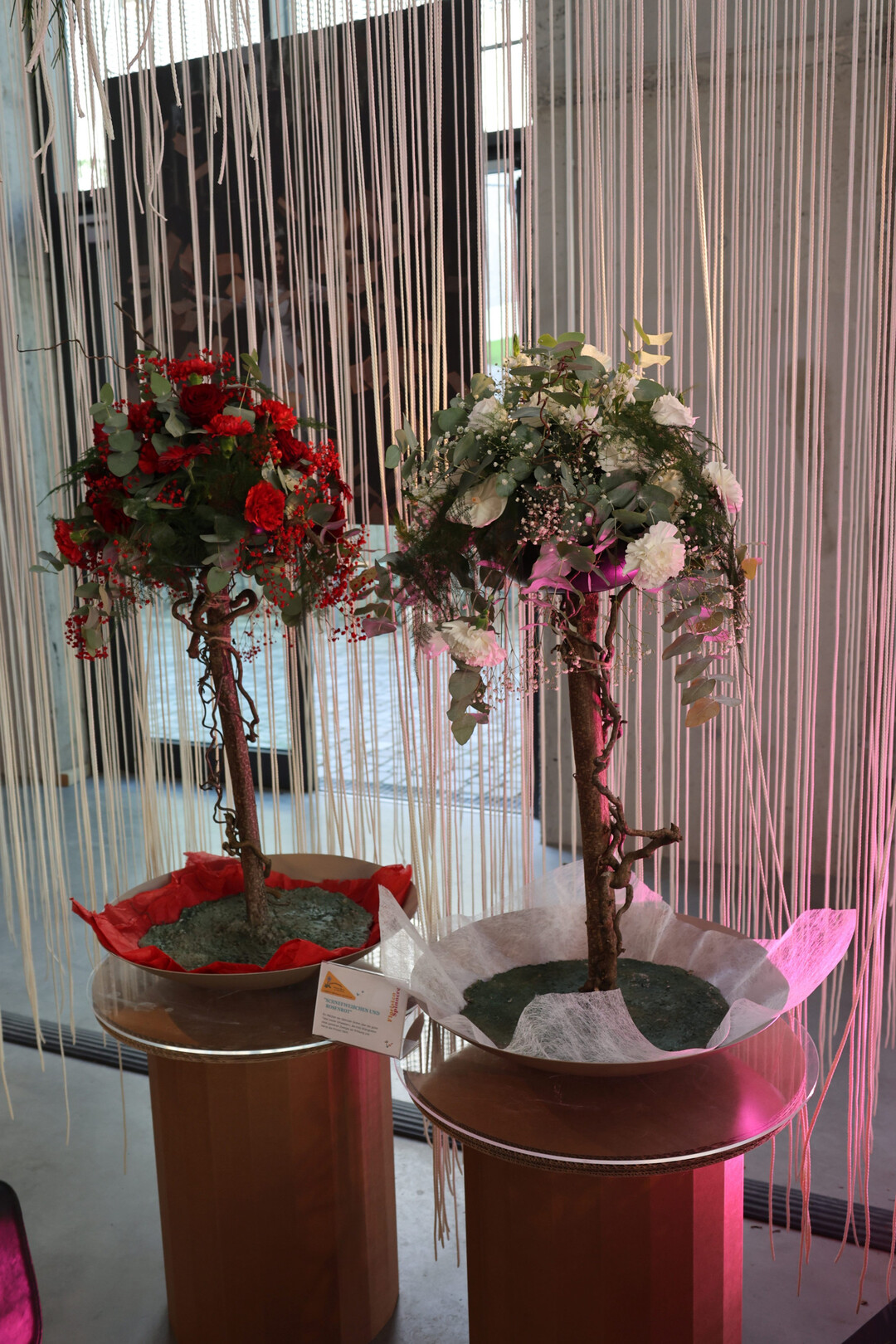 Schneeweichen und Rosenrot