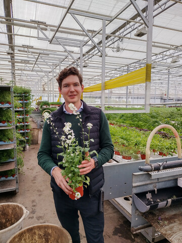 Der Junior-Chef Louis Lauwers