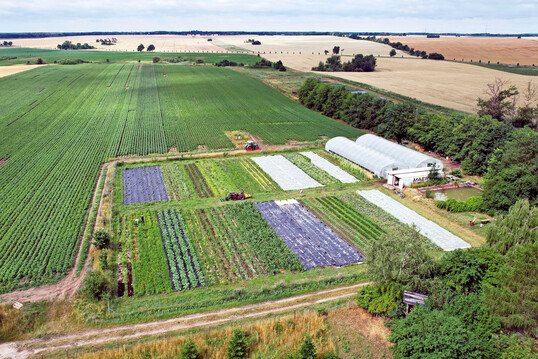Eine Tiny Farm im brandenburgischen Steinhfel.