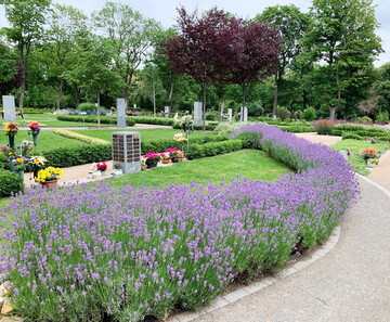 Vollstndig digitalisiert: der Zentralfriedhof von Aschersleben in Sachsen-Anhalt
