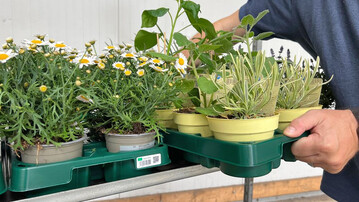 RFID-Trays im Einsatz.
